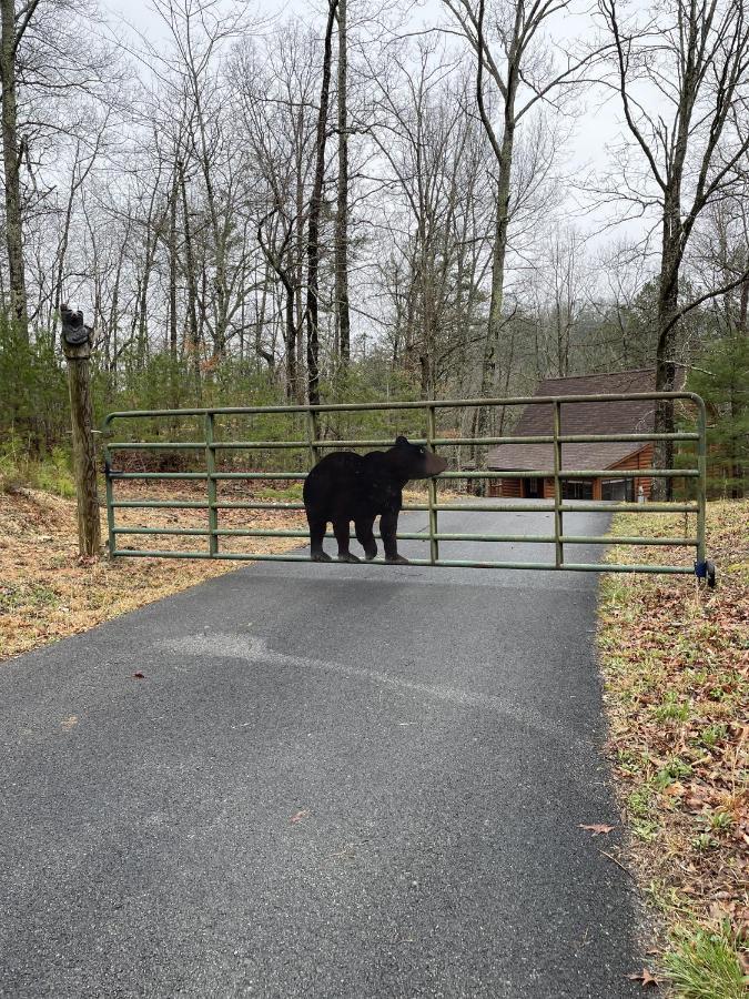 Great Smoky Mountains Cabin!, Secluded, Pet-Kid Friendly! Sevierville Exterior foto
